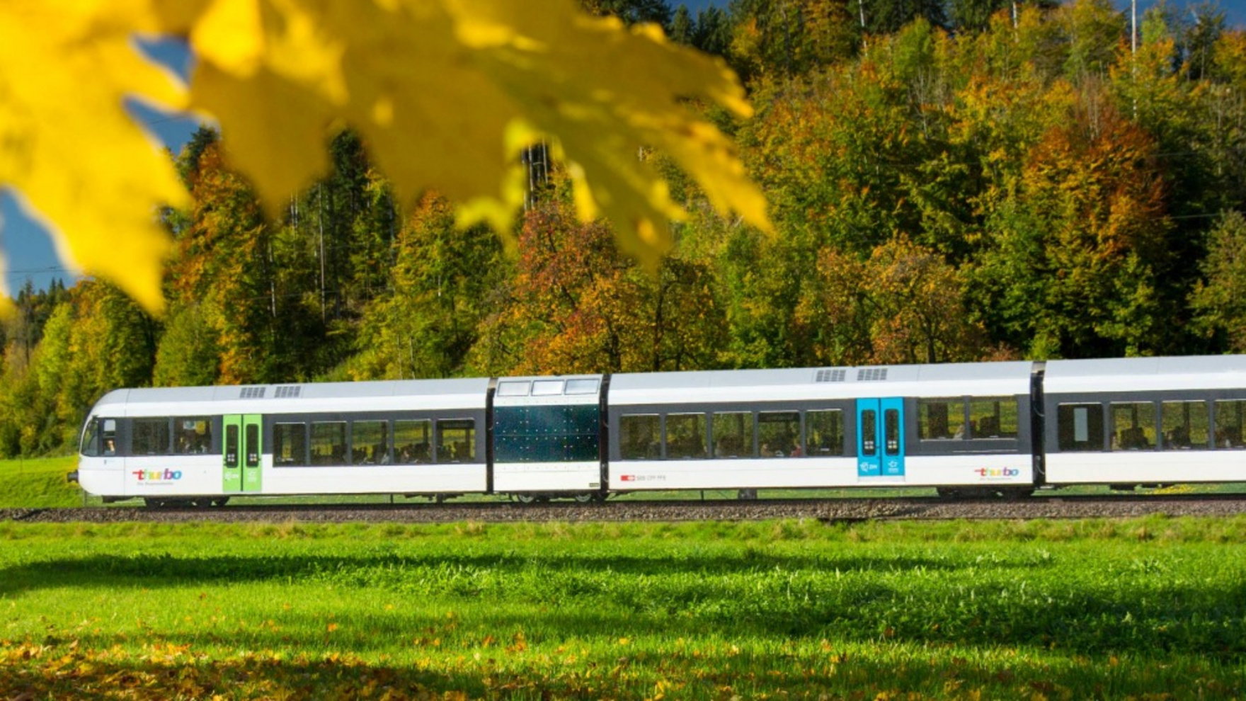 Gelbe Herbstblätter mit Thurbo Zug.