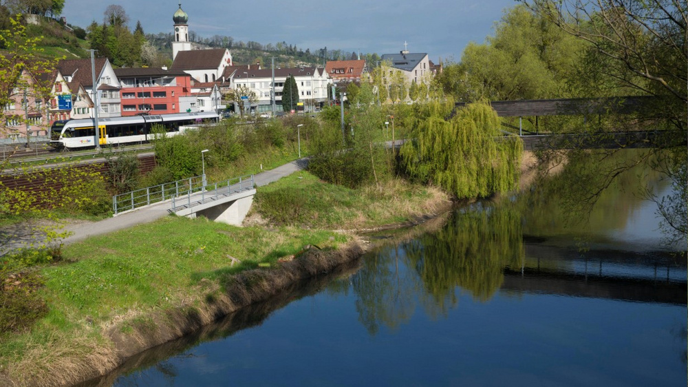 Thurbo Zug am Bahnhof von Rheineck mit dem Rhein und einer Brücke im Vordergrund.