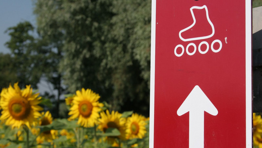 Roter Wegweiser für Inlineskates. Im Hintergrund schönes Sonnenblumenfeld.