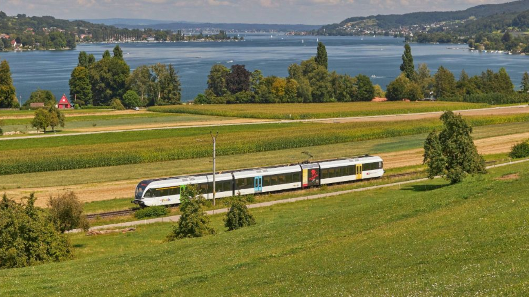 Thurbo Zug durch die grüne Landschaft mit Bodensee im Hintergrund.