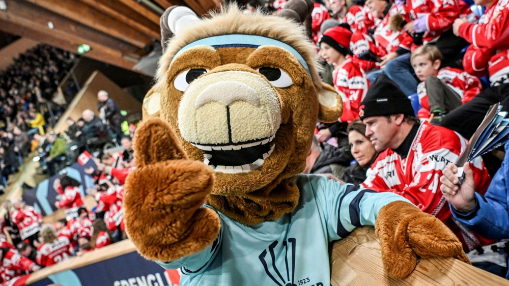 Maskottchen in einem Stadion mit vielen Fans im Hintergrund.
